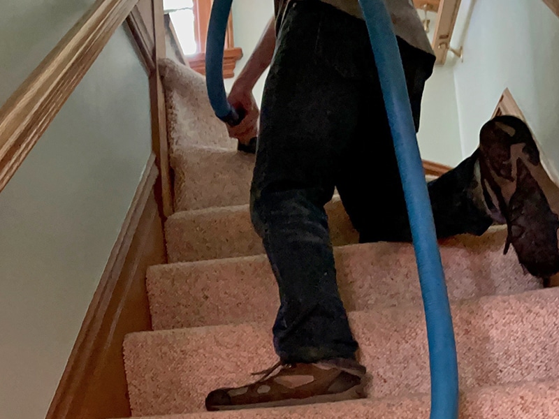 home carpet cleaning